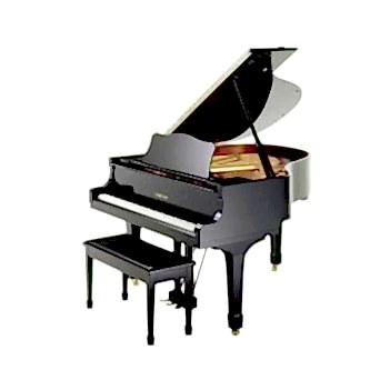 Piyano dersi Bakırköy Müzik Enstitüsü'nde başlamıştır.